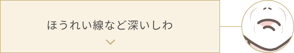 ほうれい線など深いしわ