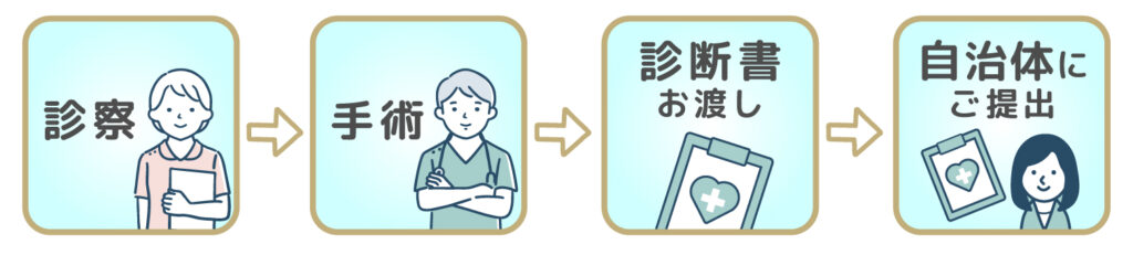診察~申請の流れ