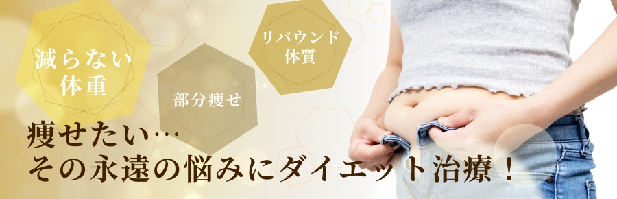 ダイエット治療